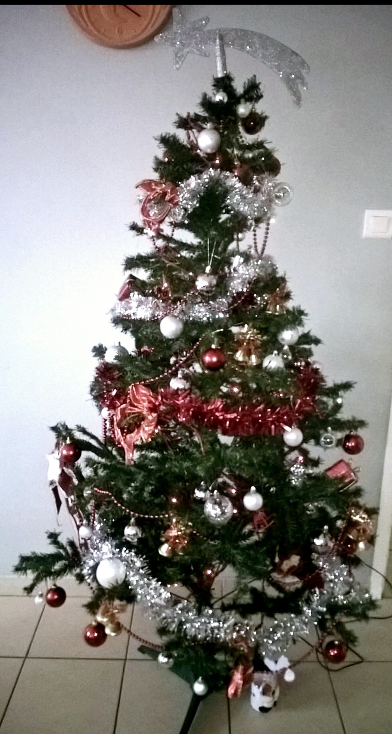 sapin 7